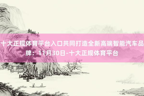 十大正规体育平台入口共同打造全新高端智能汽车品牌：11月30日-十大正规体育平台
