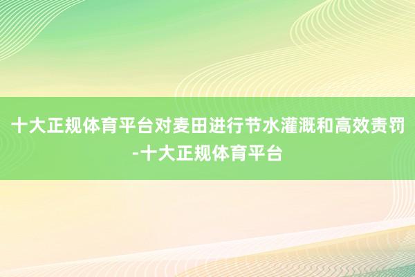 十大正规体育平台对麦田进行节水灌溉和高效责罚-十大正规体育平台