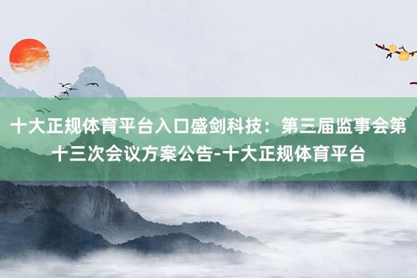 十大正规体育平台入口盛剑科技：第三届监事会第十三次会议方案公告-十大正规体育平台